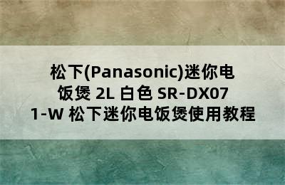 松下(Panasonic)迷你电饭煲 2L 白色 SR-DX071-W 松下迷你电饭煲使用教程